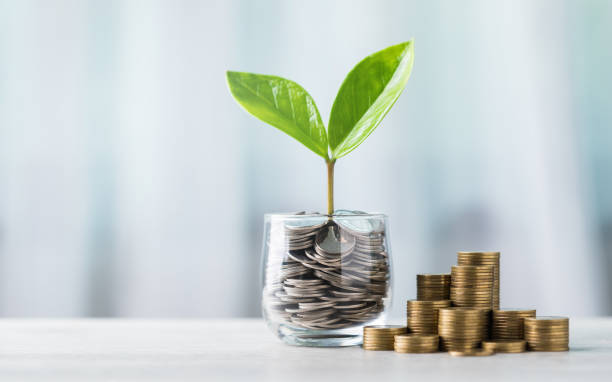 Brote verde creciendo sobre una pila de monedas que representa la inversión para principiantes.