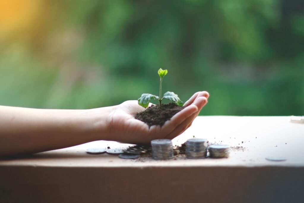 Monedas apiladas con planta creciendo que simboliza el progreso financiero del método bola de nieve.